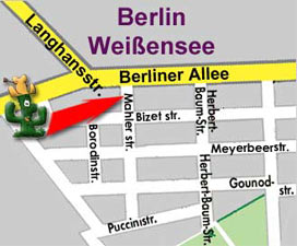 kirschlorbeer zimmerpflanze immergrner Kirschlorbeer Genolia